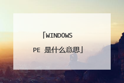WINDOWS  PE 是什么意思
