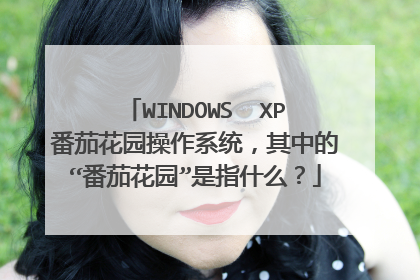 WINDOWS XP番茄花园操作系统,其中的“番茄花园”是指什么?