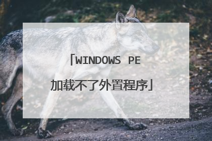 WINDOWS PE 加载不了外置程序