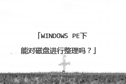 WINDOWS PE下能对磁盘进行整理吗？