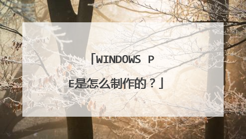 WINDOWS PE是怎么制作的?
