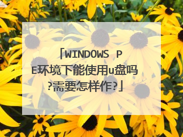 WINDOWS PE环境下能使用u盘吗?需要怎样作?
