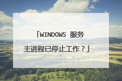 WINDOWS 服务主进程已停止工作?