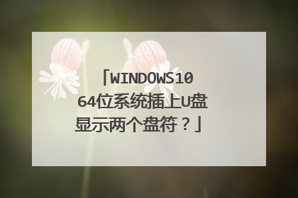 WINDOWS10 64位系统插上U盘显示两个盘符？