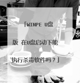 WINPE U盘版 在U盘启动下能执行杀毒软件吗?