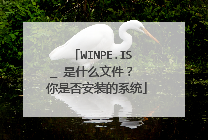 WINPE.IS_ 是什么文件? 你是否安装的系统