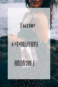 WINPE中能用的播放器