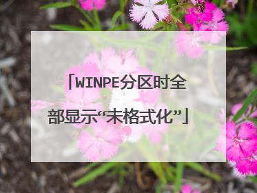 WINPE分区时全部显示“未格式化”