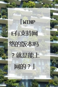 WINPE有支持网络的版本吗?就是能上网的?