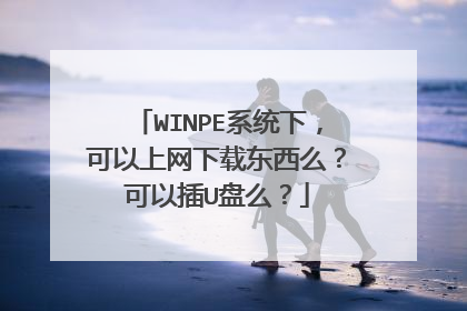 WINPE系统下，可以上网下载东西么？可以插U盘么？