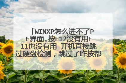 WINXP怎么进不了PE界面,按F12没有用F11也没有用 开机直接跳过硬盘检测，跳过了咋按都出不来 ，密码忘记了