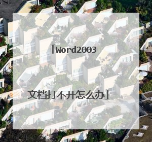 Word2003文档打不开怎么办