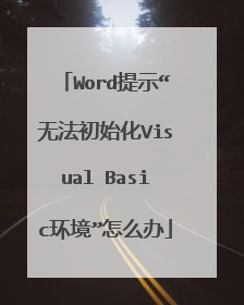 Word提示“无法初始化Visual Basic环境”怎么办