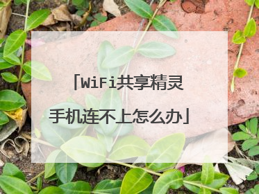 WiFi共享精灵手机连不上怎么办