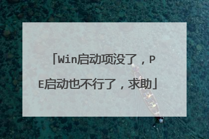 Win启动项没了，PE启动也不行了，求助