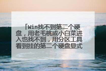 Win找不到第二个硬盘，用老毛桃或小白菜进入也找不到，用分区工具看到挂的第二个硬盘显式问号什么原因