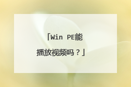 Win PE能播放视频吗?
