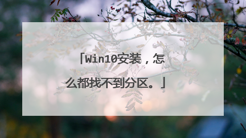 Win10安装,怎么都找不到分区。