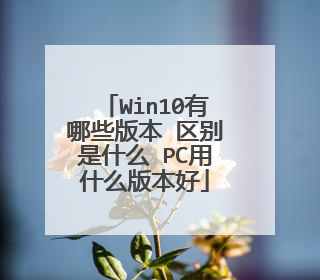 Win10有哪些版本 区别是什么 PC用什么版本好