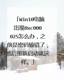 Win10电脑出现0xc000025怎么办,之前是密码输错了,然后重新启动就这样。