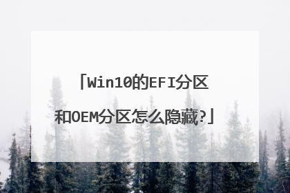 Win10的EFI分区和OEM分区怎么隐藏?