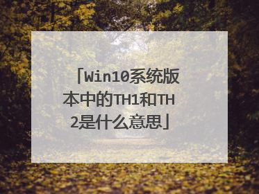 Win10系统版本中的TH1和TH2是什么意思