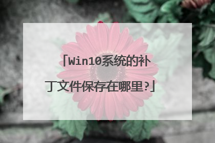 Win10系统的补丁文件保存在哪里?