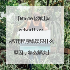 Win10老弹出WerFault.exe应用程序错误是什么原因,怎么解决