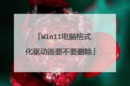 Win11电脑格式化驱动器要不要删除