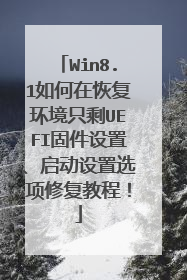 Win8.1如何在恢复环境只剩UEFI固件设置、启动设置选项修复教程！