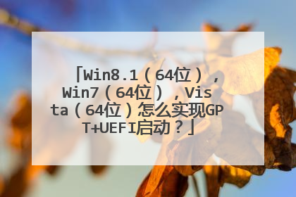 Win8.1（64位），Win7（64位），Vista（64位）怎么实现GPT+UEFI启动？