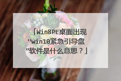 Win8PE桌面出现“win10紧急引导盘”软件是什么意思?