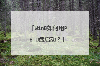 Win8如何用PE U盘启动？