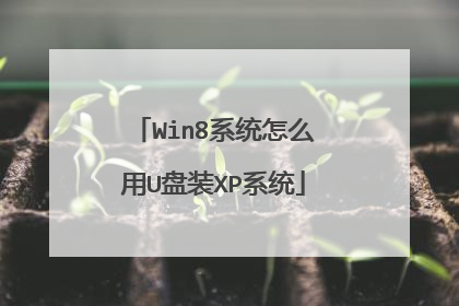 Win8系统怎么用U盘装XP系统