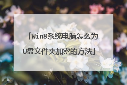 Win8系统电脑怎么为U盘文件夹加密的方法