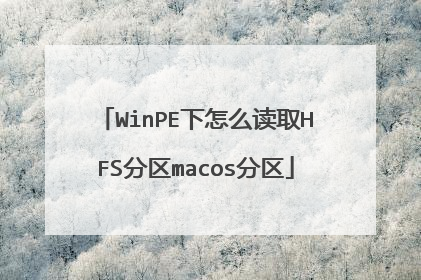 WinPE下怎么读取HFS分区macos分区