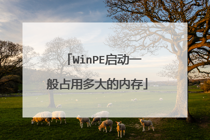 WinPE启动一般占用多大的内存