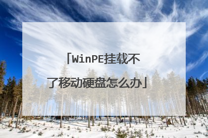 WinPE挂载不了移动硬盘怎么办