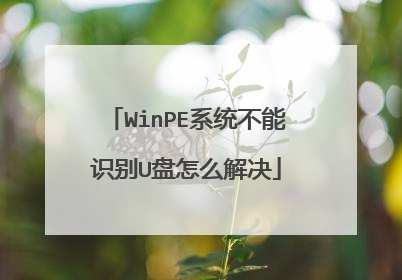 WinPE系统不能识别U盘怎么解决