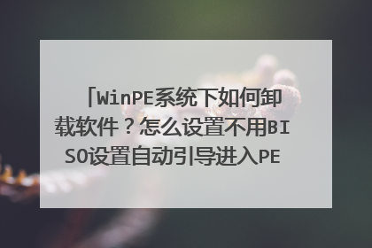 WinPE系统下如何卸载软件?怎么设置不用BISO设置自动引导进入PE系统?(在U盘已经安装PE系统的情况下!)
