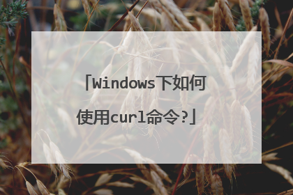 Windows下如何使用curl命令?