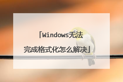 Windows无法完成格式化怎么解决