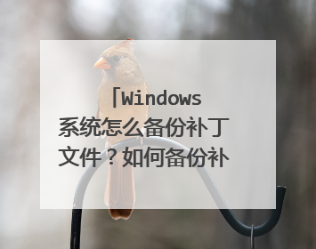 Windows系统怎么备份补丁文件?如何备份补丁文件?[