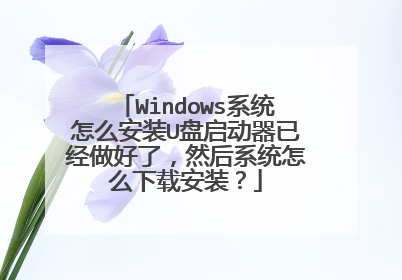 Windows系统怎么安装U盘启动器已经做好了,然后系统怎么下载安装?