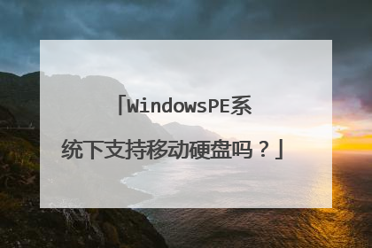 WindowsPE系统下支持移动硬盘吗?