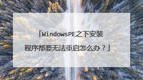WindowsPE之下安装程序都要无法重启怎么办？