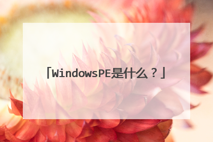WindowsPE是什么？