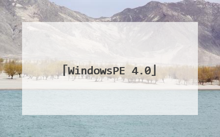 WindowsPE 4.0