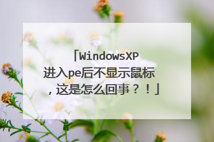 WindowsXP进入pe后不显示鼠标,这是怎么回事?!