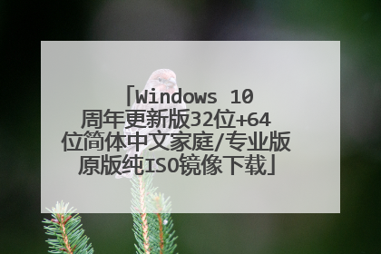 Windows 10周年更新版32位+64位简体中文家庭/专业版原版纯ISO镜像下载
